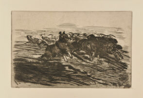 Chien regroupant son troupeau de moutons