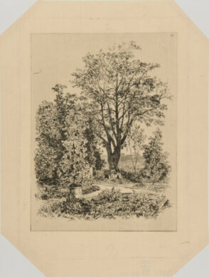 Dans mon jardin à Bordeaux