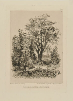 Dans mon jardin à Bordeaux