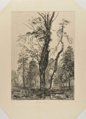 Dans un Parc, arbres et ruines