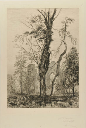 Dans un Parc, arbres et ruines