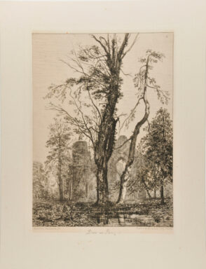 Dans un Parc, arbres et ruines