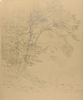 Path Next to Forest with Figures