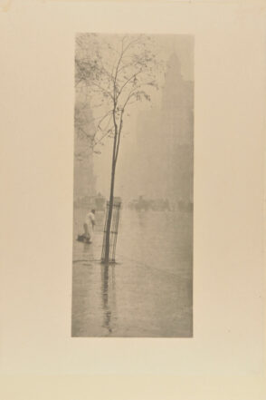 Spring Showers, New York