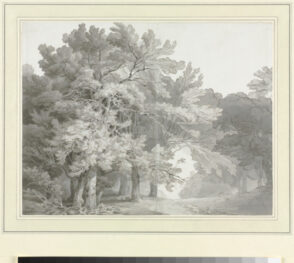 A Path through the Woods