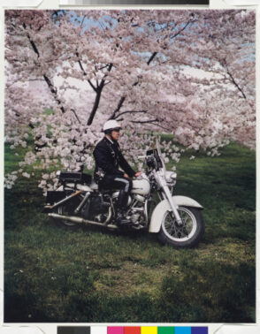 Springtime, Washington, D.C.