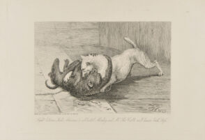 Fight between “Jacko Maccacco”a celebrated Monkey and Mr. Thos. Cribb’s well known bitch “Puss”