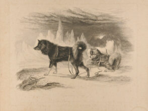 Exquimaux Dogs, after W.R. Smith