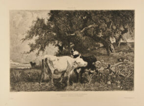 La Source de Neslette, en Normandie