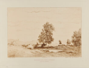 Un Bouleau des Gorges d’Apremont