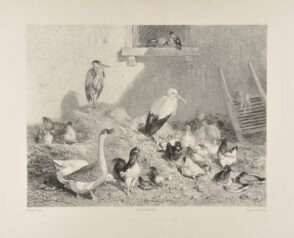 La Basse-cour de Remilly