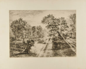 Boeufs traversant une mare