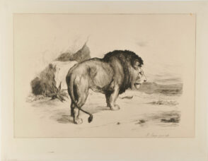 Lion, walking, seen from the back