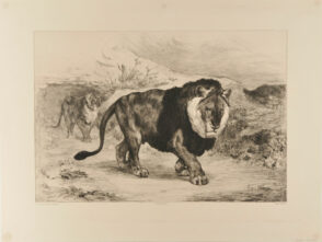 Lion et Lionne de Nubie