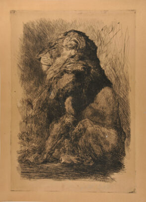 Lion, seated, seen from the side