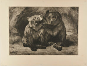 Ours Bruns de Russie