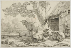 Moutons dans une Etable