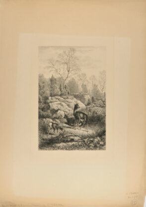 In the Forest of Fontainebleau