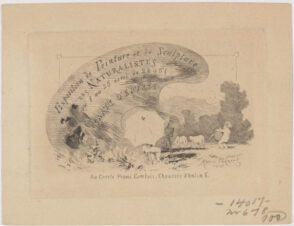 Carte d’Entree (Entry card) for the Exposition de Peinture et de Sculpture des Naturalistes (Exhibition of Painting and Sculpture by Naturalists)