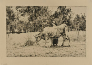 Un Verger au Printemps