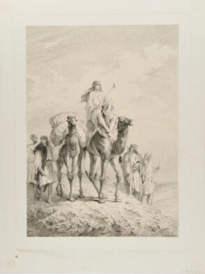 Youth on a Camel
