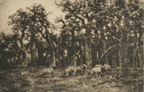 La Petite forêt: Hiver