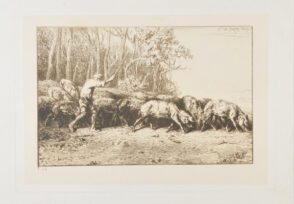 Troup de porcs sortant d’un bois