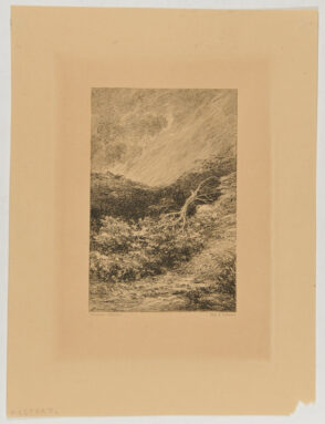 Landscape in a Storm