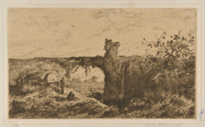 Landscape: Viaduct Covered With Vines