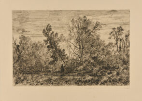 Landscape: Pool, Surrounded by Trees