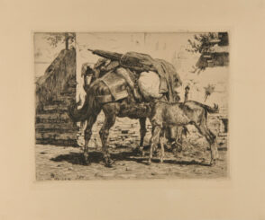 Jument chargée de Bagage et Poulain qui Tette