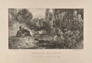 Chasse au loup