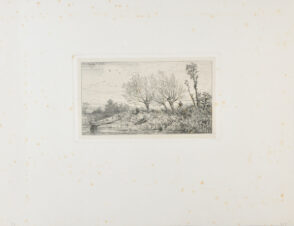 Paysage: Saules