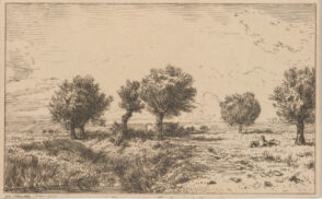 Willows in a Pasture