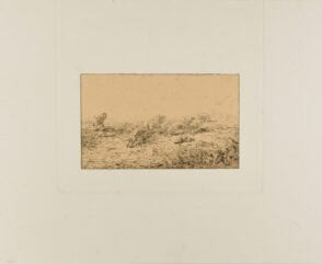 Troupeau de porcs fuyant