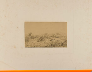 Troupeau de porcs fuyant