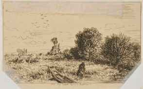 Saules: Paysage