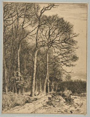 Landscape: Winter – Edge of the Forest