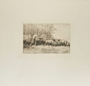 Troupeau de porcs sortant d’un bois