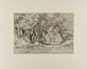 Dessous de bois, Noisy