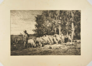 Troupeau à la lisière d’un bois