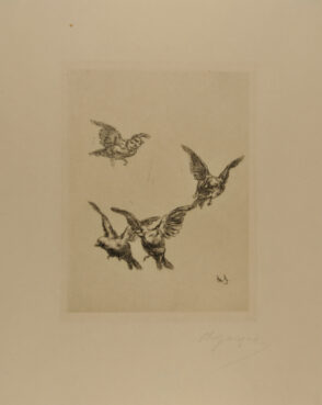 Flying birds