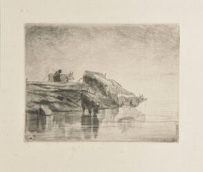 Vaches à l’abreuvoir