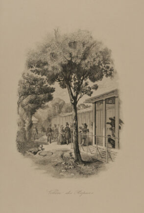 Volière des rapaces