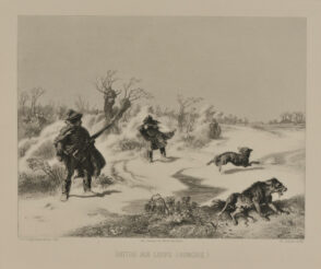 Battue aux loups (Hongrie)