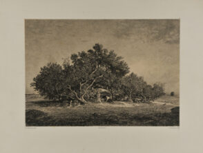 Un Four dans les Landes