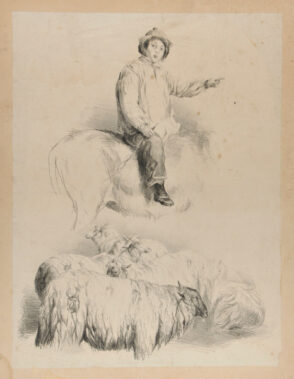 Studies of sheep and shepherd
