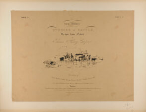 Title plate from the series “Studies of Cattle, drawn from nature”
