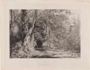 Saulée aux Environs de Paris