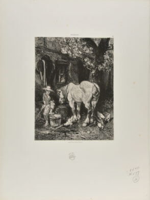 Horse Drinking from a Trough